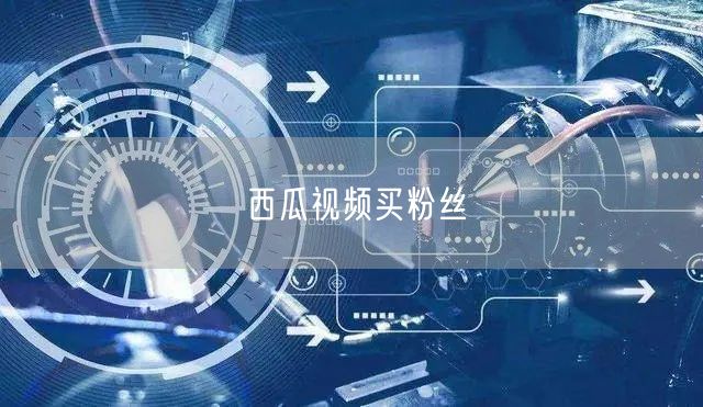 西瓜视频买粉丝