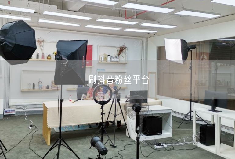 刷抖音粉丝平台
