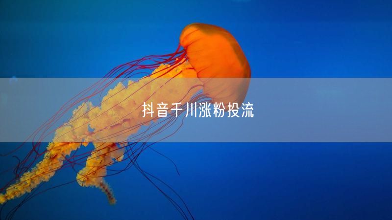 抖音千川涨粉投流