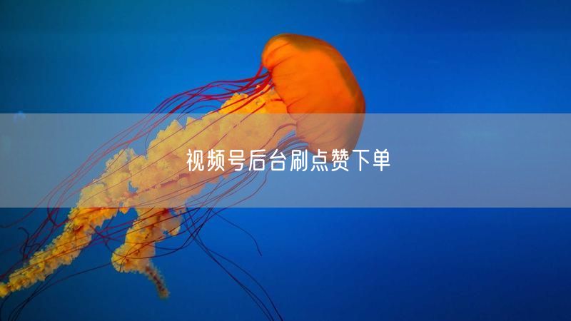 视频号后台刷点赞下单