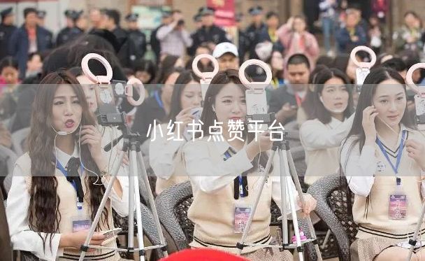 小红书点赞平台
