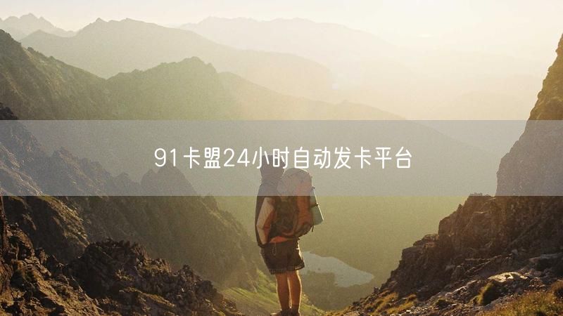 91卡盟24小时自动发卡平台