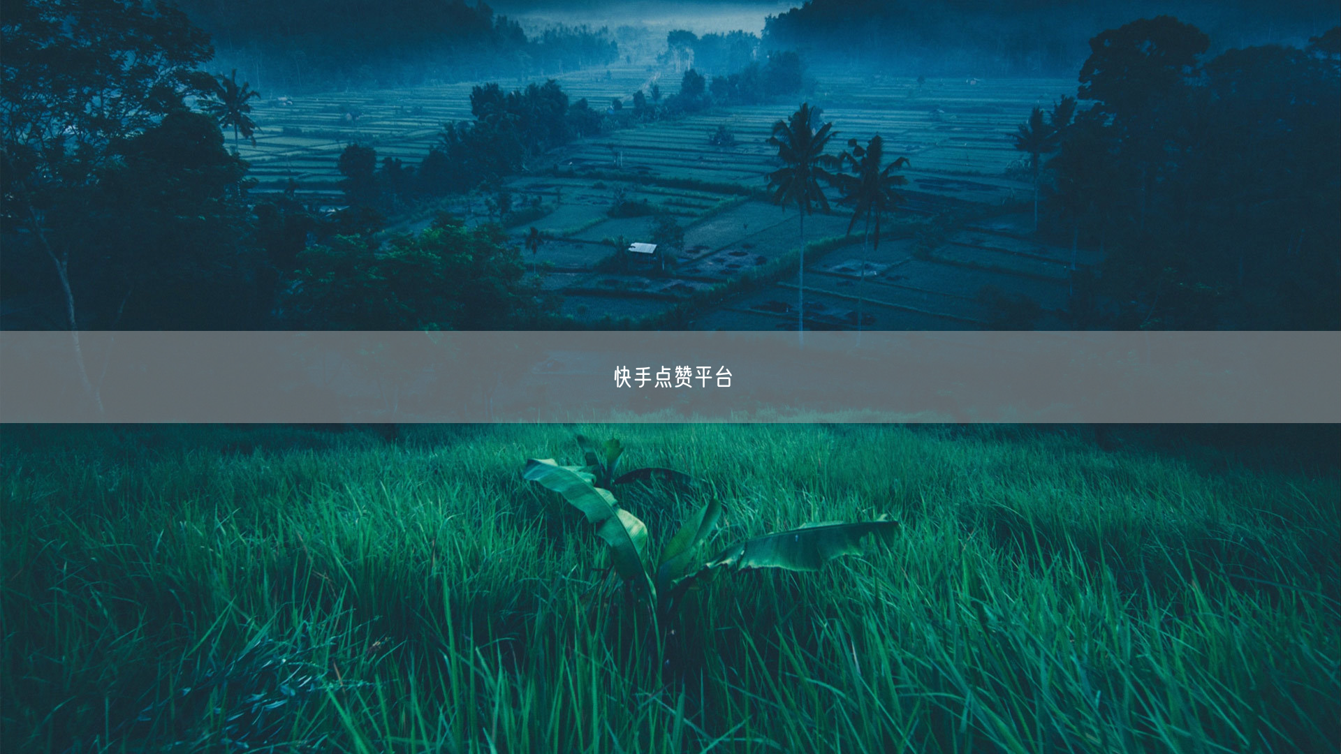 快手点赞平台