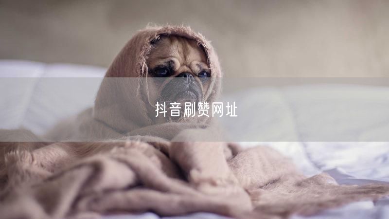 抖音刷赞网址