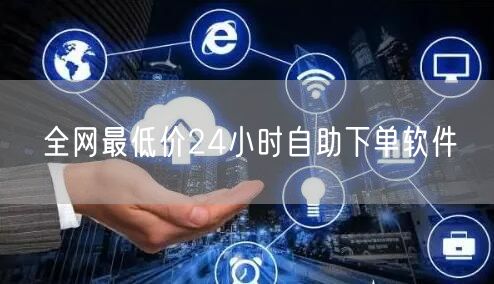 全网最低价24小时自助下单软件