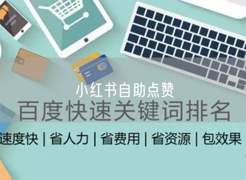 小红书自助点赞