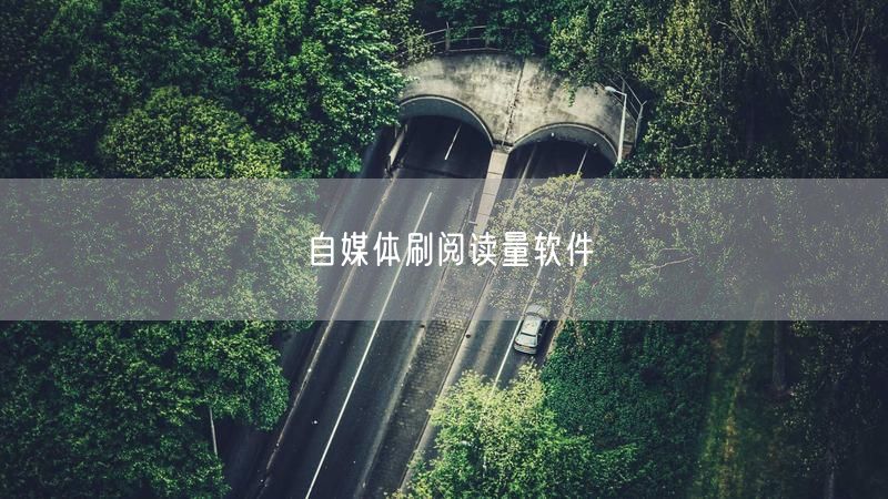 自媒体刷阅读量软件