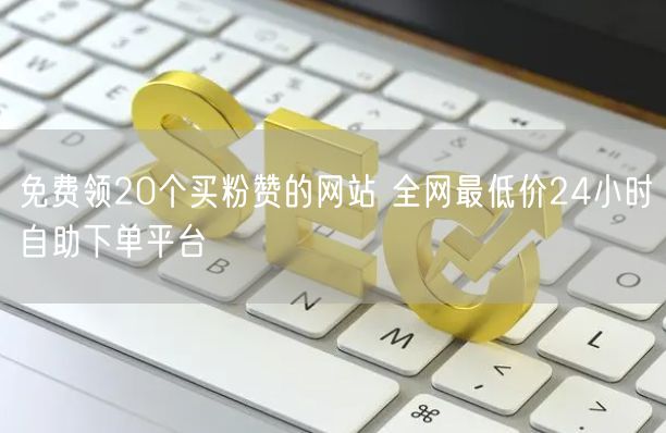 免费领20个买粉赞的网站 全网最低价24小时自助下单平台