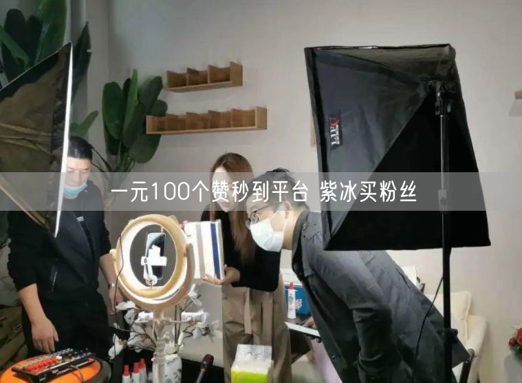 一元100个赞秒到平台 紫冰买粉丝