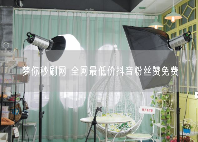 梦你秒刷网 全网最低价抖音粉丝赞免费