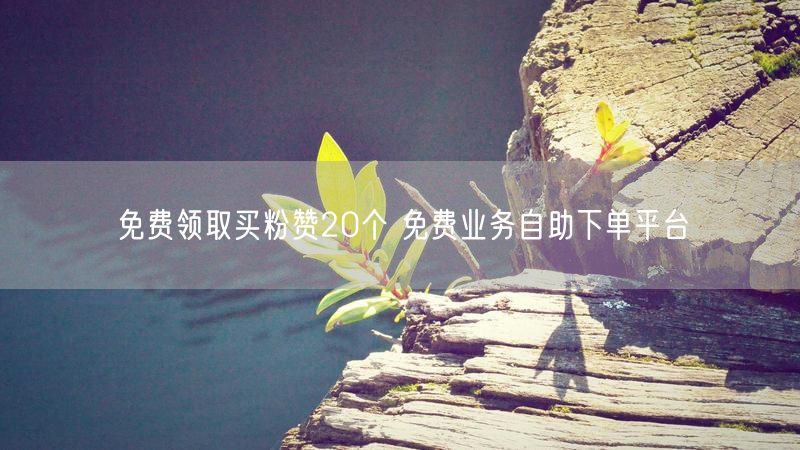 免费领取买粉赞20个 免费业务自助下单平台