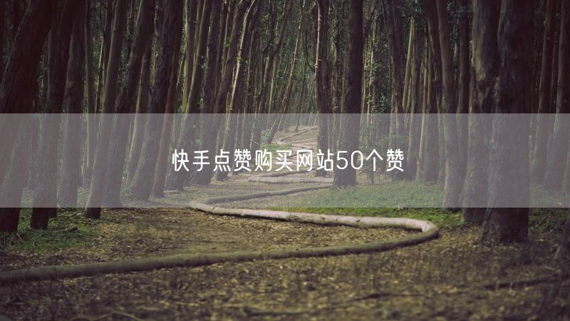 快手点赞购买网站50个赞
