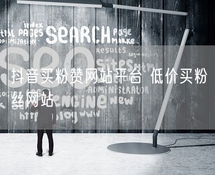 抖音买粉赞网站平台 低价买粉丝网站