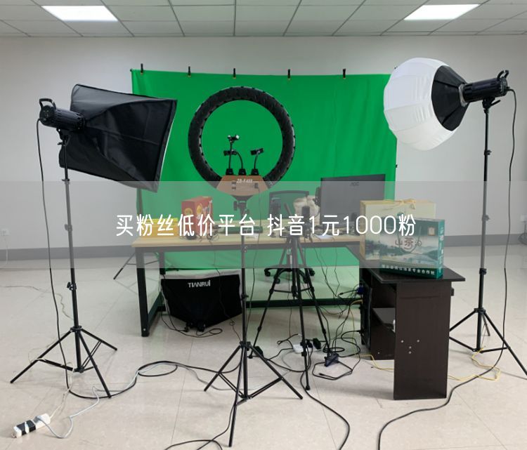 买粉丝低价平台 抖音1元1000粉