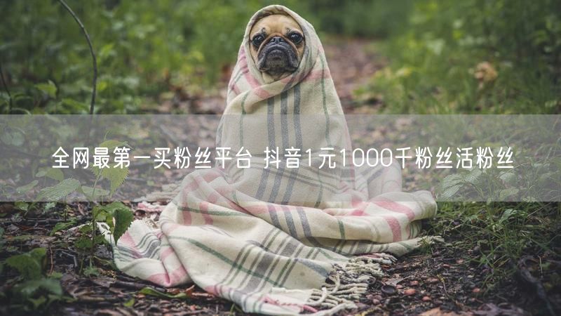 全网最第一买粉丝平台 抖音1元1000千粉丝活粉丝