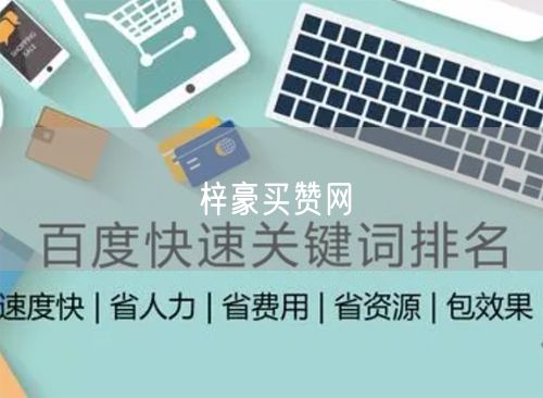 梓豪买赞网