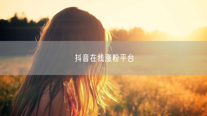 抖音在线涨粉平台
