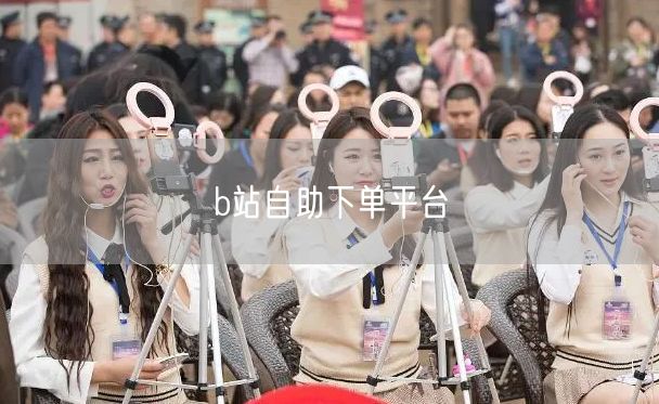 b站自助下单平台