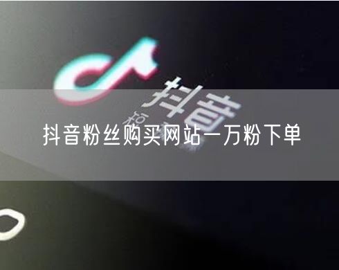 抖音粉丝购买网站一万粉下单