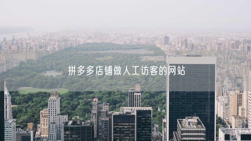 拼多多店铺做人工访客的网站