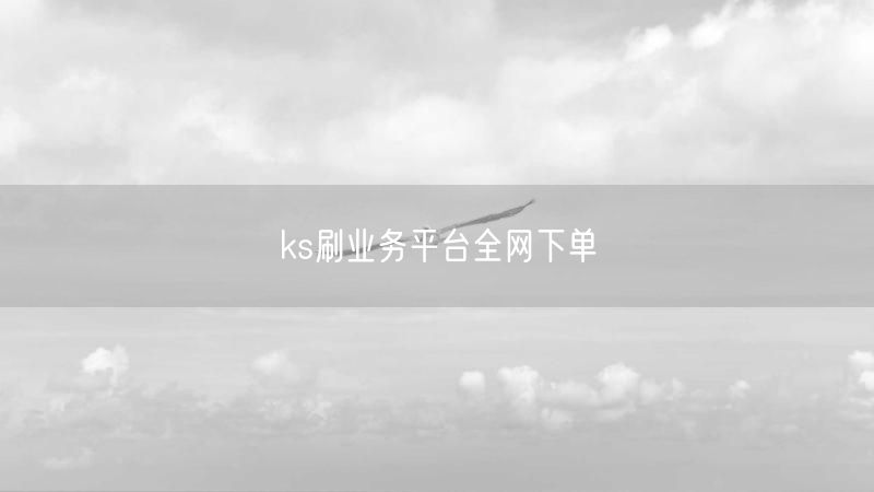 ks刷业务平台全网下单