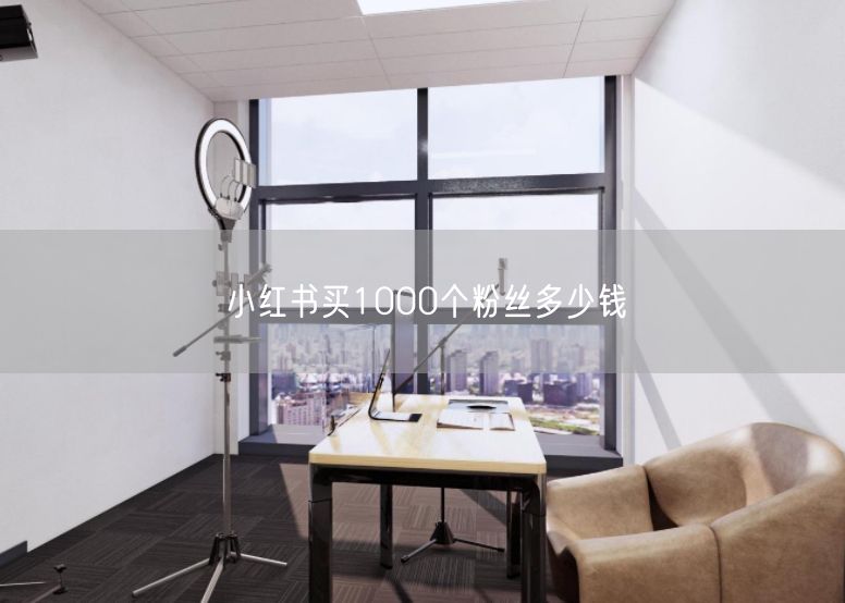 小红书买1000个粉丝多少钱