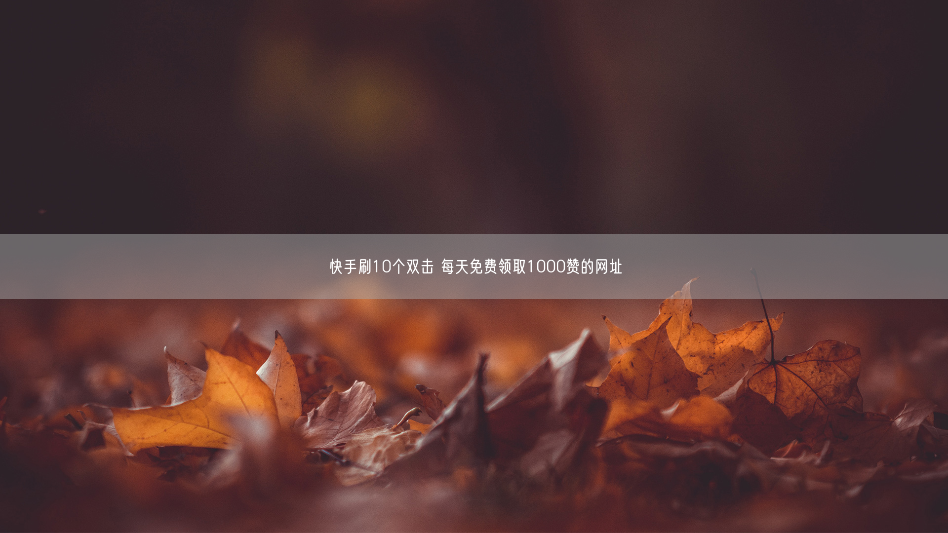 快手刷10个双击 每天免费领取1000赞的网址