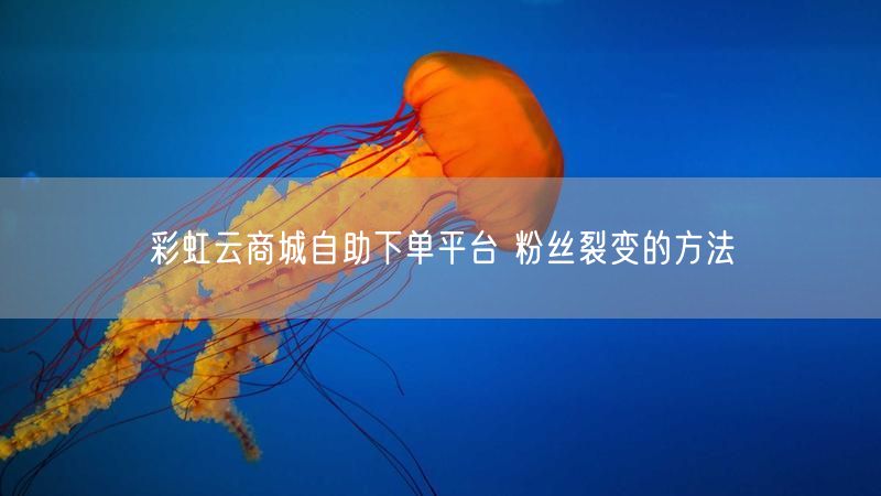 彩虹云商城自助下单平台 粉丝裂变的方法