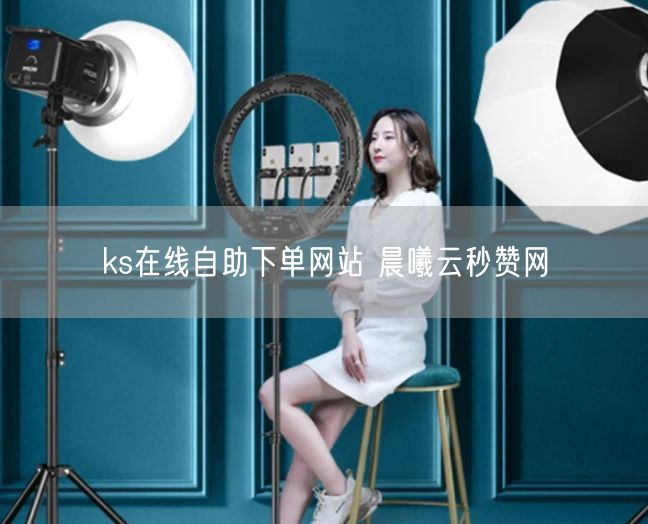 ks在线自助下单网站 晨曦云秒赞网