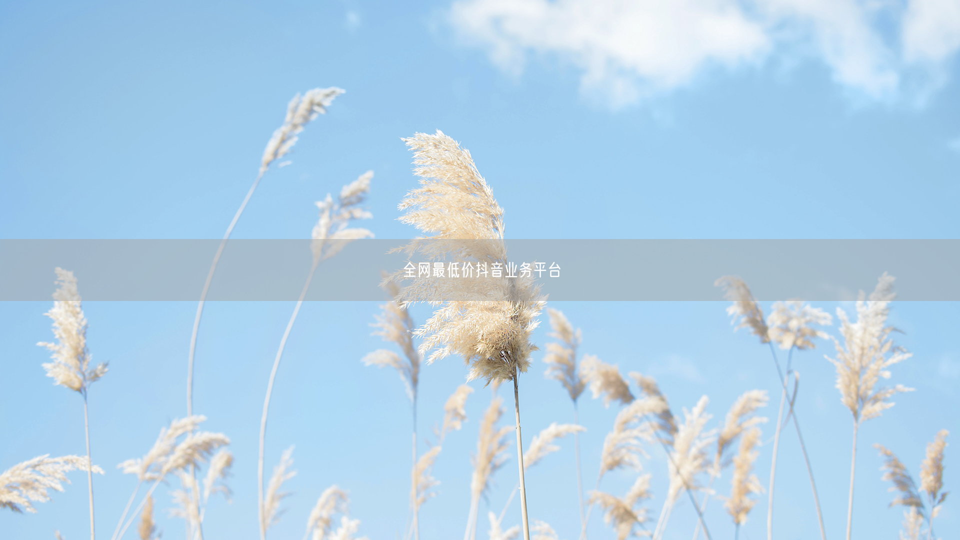 全网最低价抖音业务平台