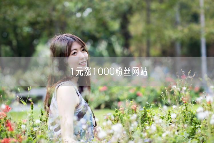 1元涨1000粉丝网站