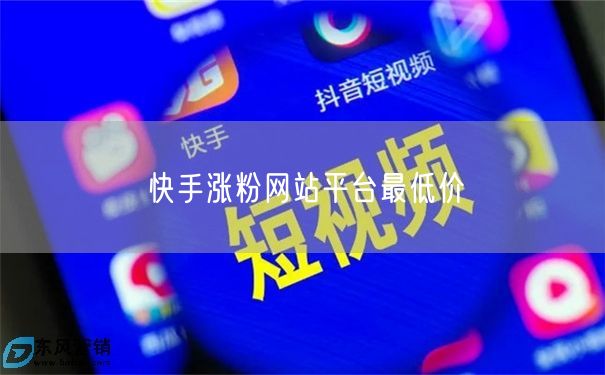 快手涨粉网站平台最低价