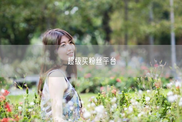 超级买粉丝平台