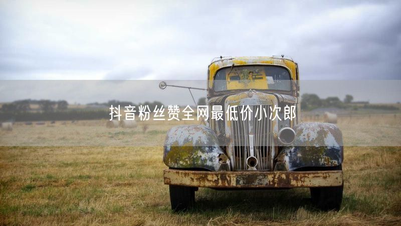 抖音粉丝赞全网最低价小次郎