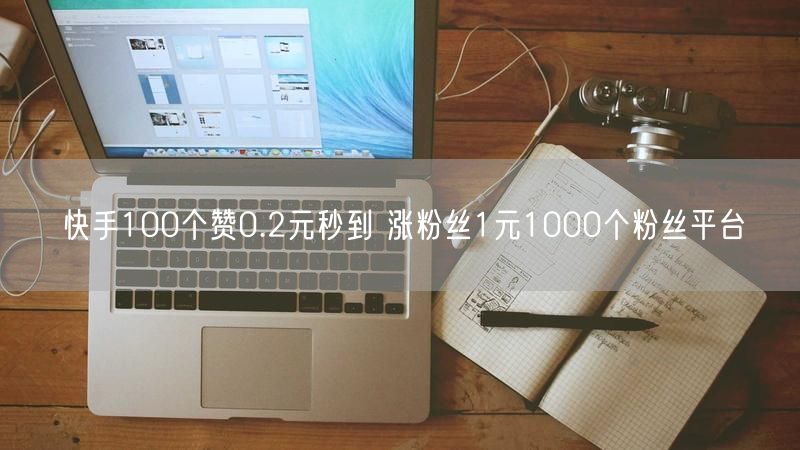 快手100个赞0.2元秒到 涨粉丝1元1000个粉丝平台