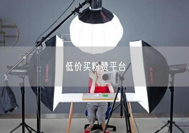 低价买粉赞平台