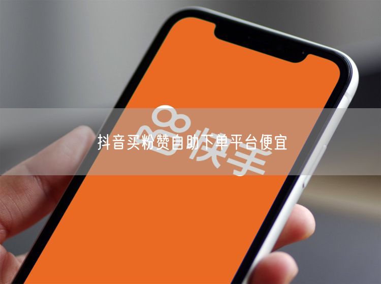 抖音买粉赞自助下单平台便宜