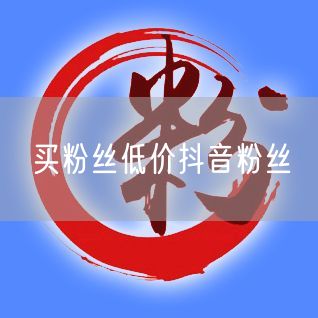 买粉丝低价抖音粉丝
