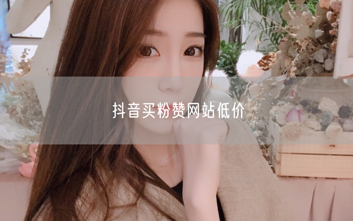 抖音买粉赞网站低价