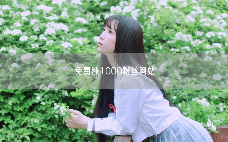 免费涨1000粉丝网站