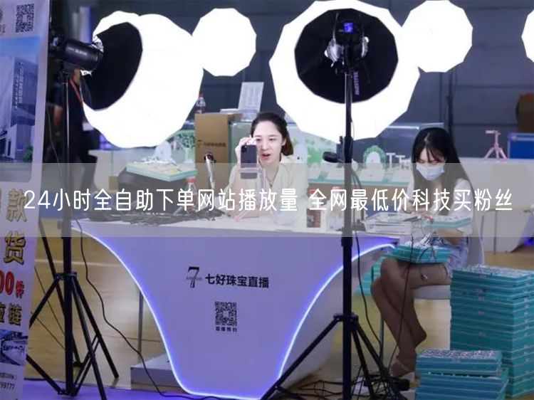 24小时全自助下单网站播放量 全网最低价科技买粉丝