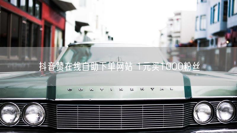 抖音赞在线自助下单网站 1元买1000粉丝