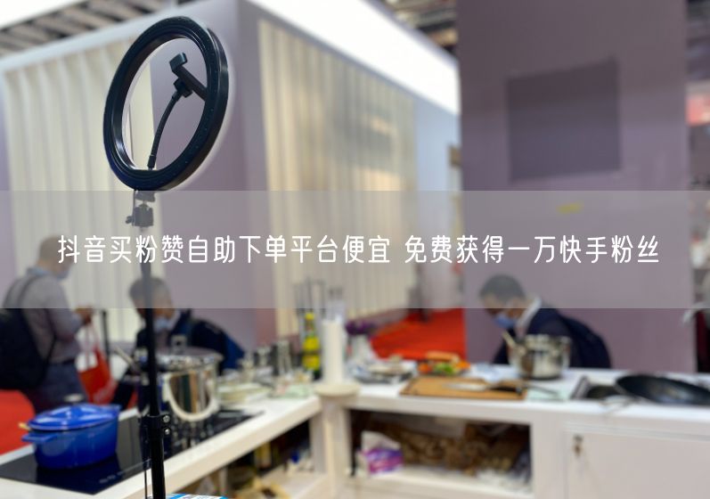 抖音买粉赞自助下单平台便宜 免费获得一万快手粉丝