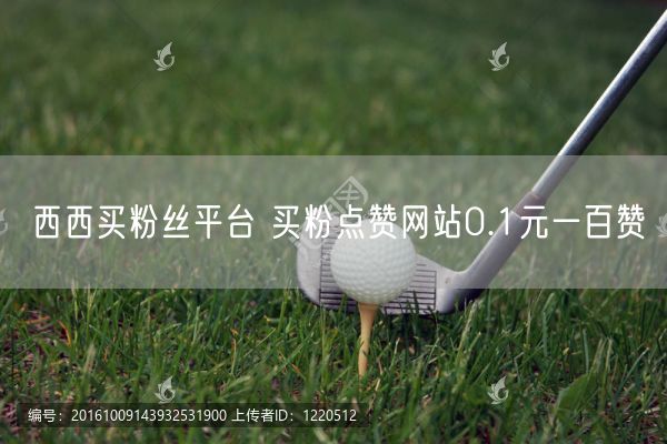 西西买粉丝平台 买粉点赞网站0.1元一百赞