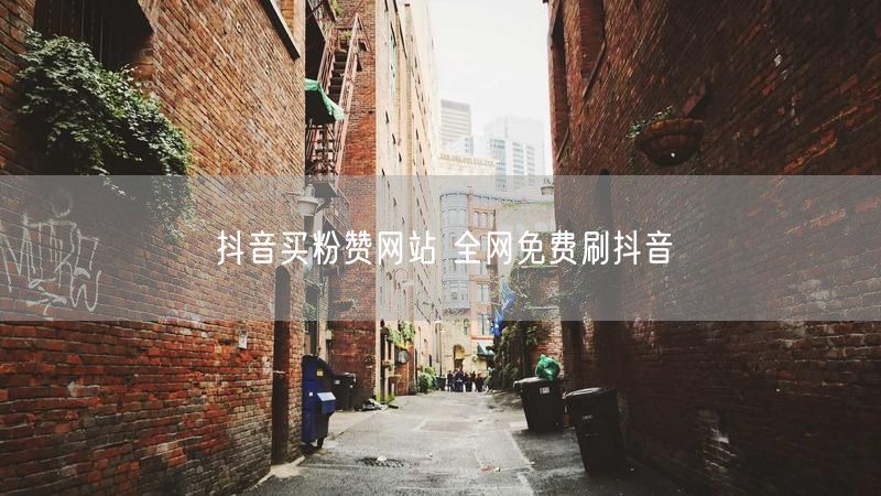 抖音买粉赞网站 全网免费刷抖音