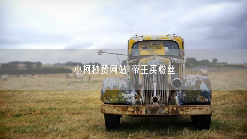 小柯秒赞网站 帝王买粉丝