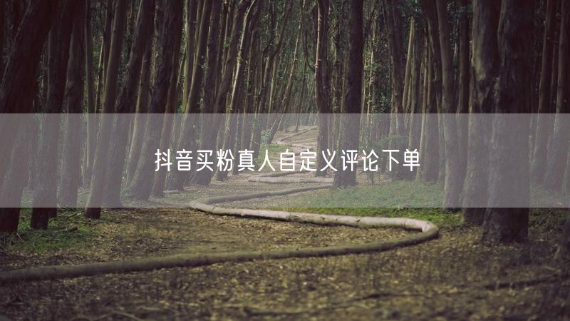 抖音买粉真人自定义评论下单