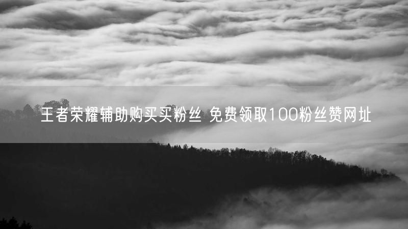 王者荣耀辅助购买买粉丝 免费领取100粉丝赞网址