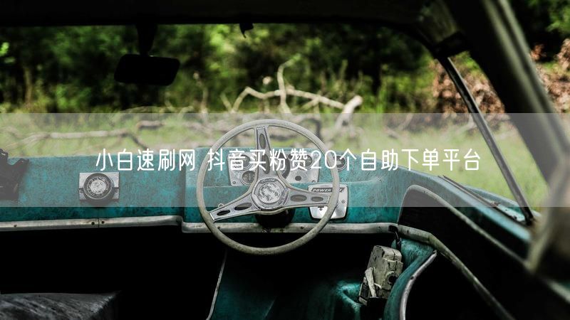 小白速刷网 抖音买粉赞20个自助下单平台