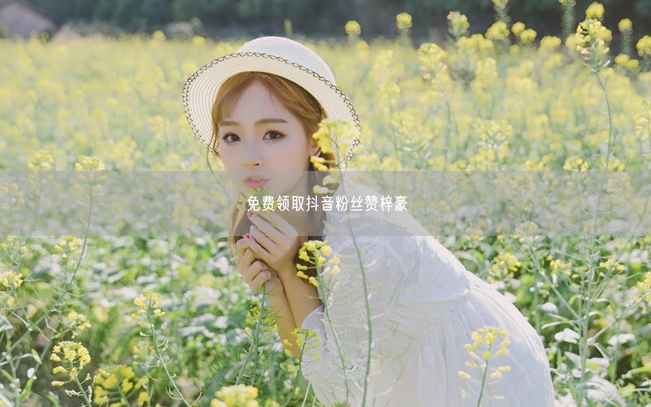 免费领取抖音粉丝赞梓豪
